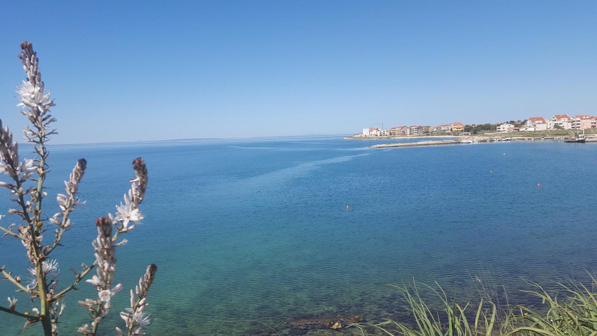 Zagi Apartman Povljana Kültér fotó